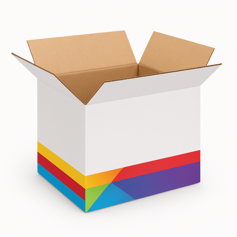 CAJA MASTER